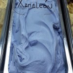xamaleon